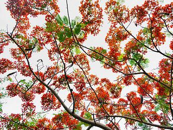 《消逝的光芒2》第二章更新情报 新女猎人登场